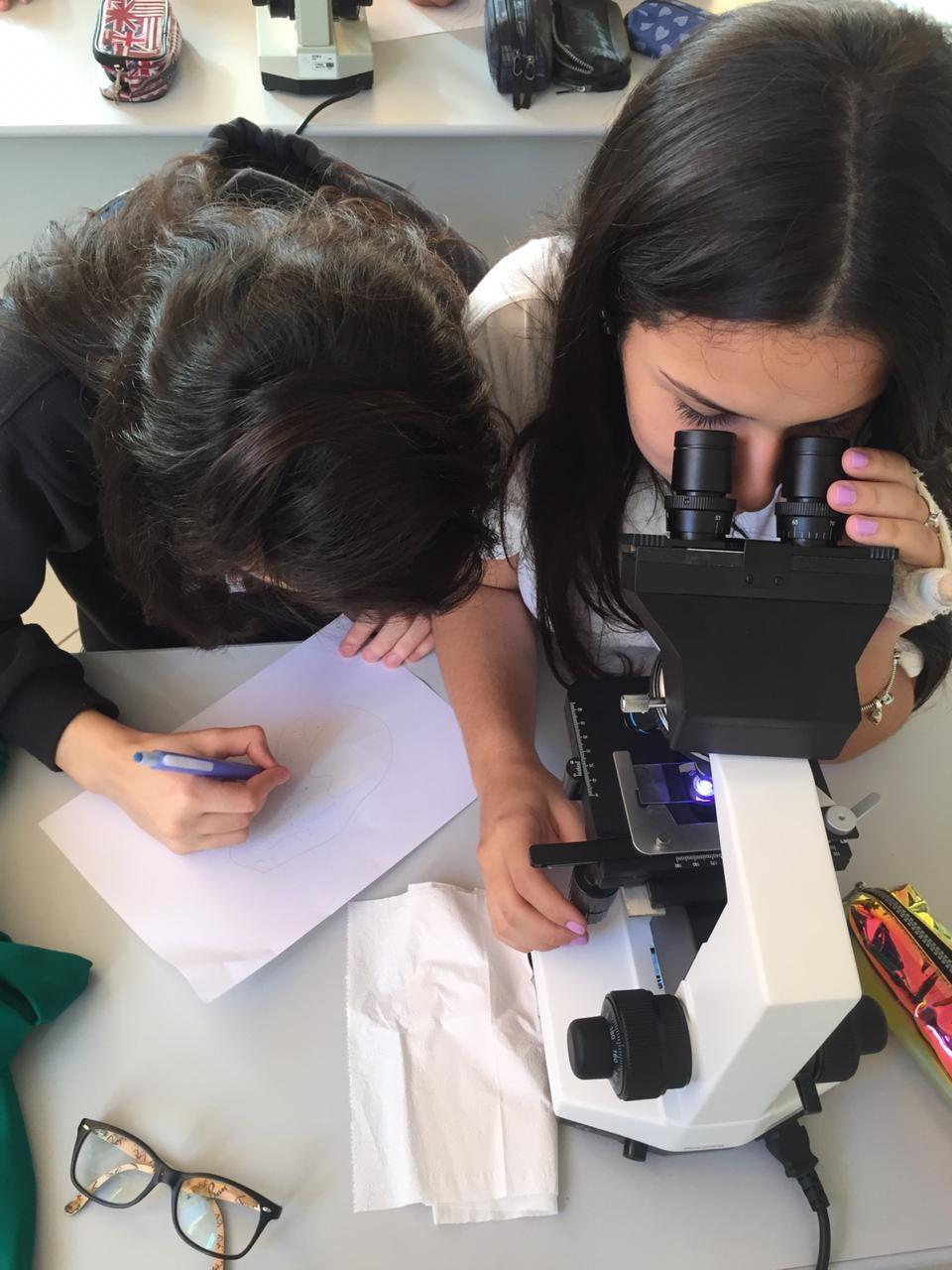 Microscopia e Teoria Celular