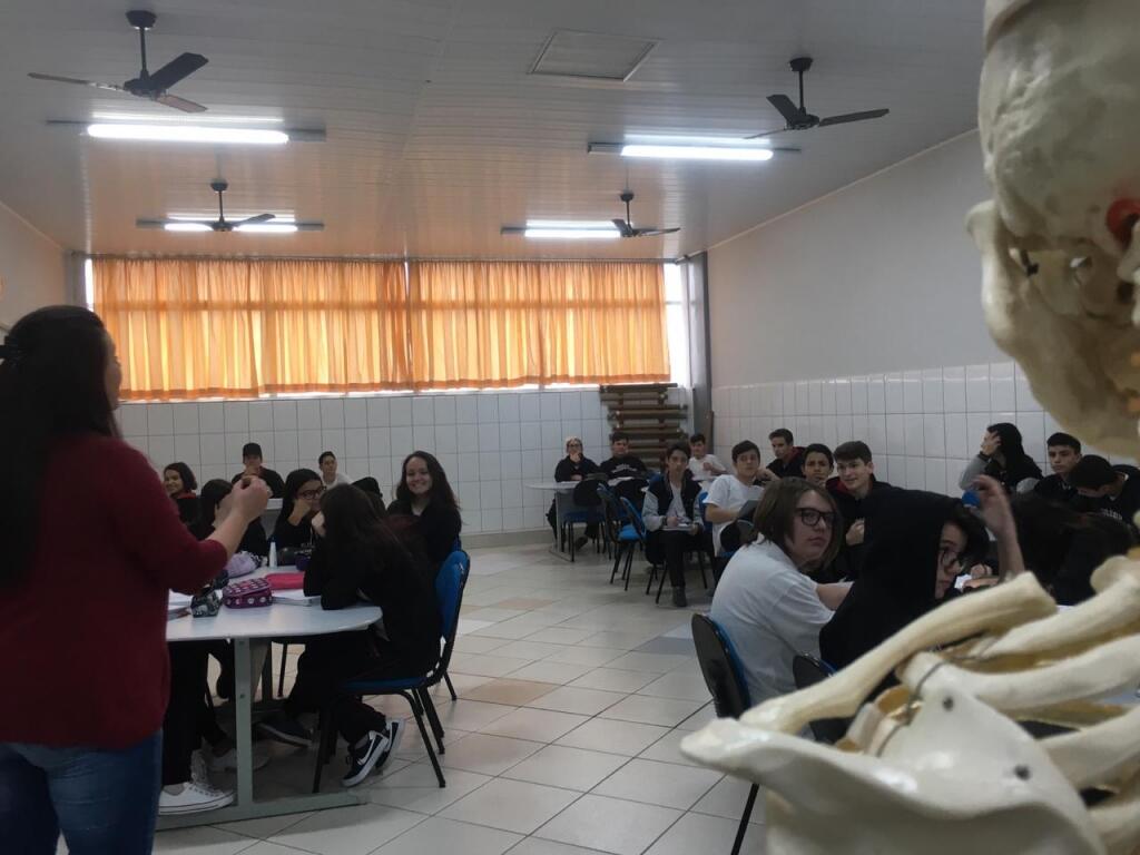 Compreendendo a função dos ossos