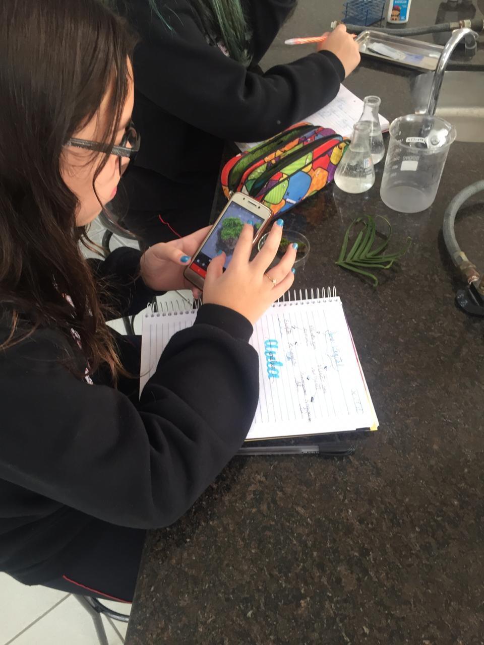 Compreendendo as plantas