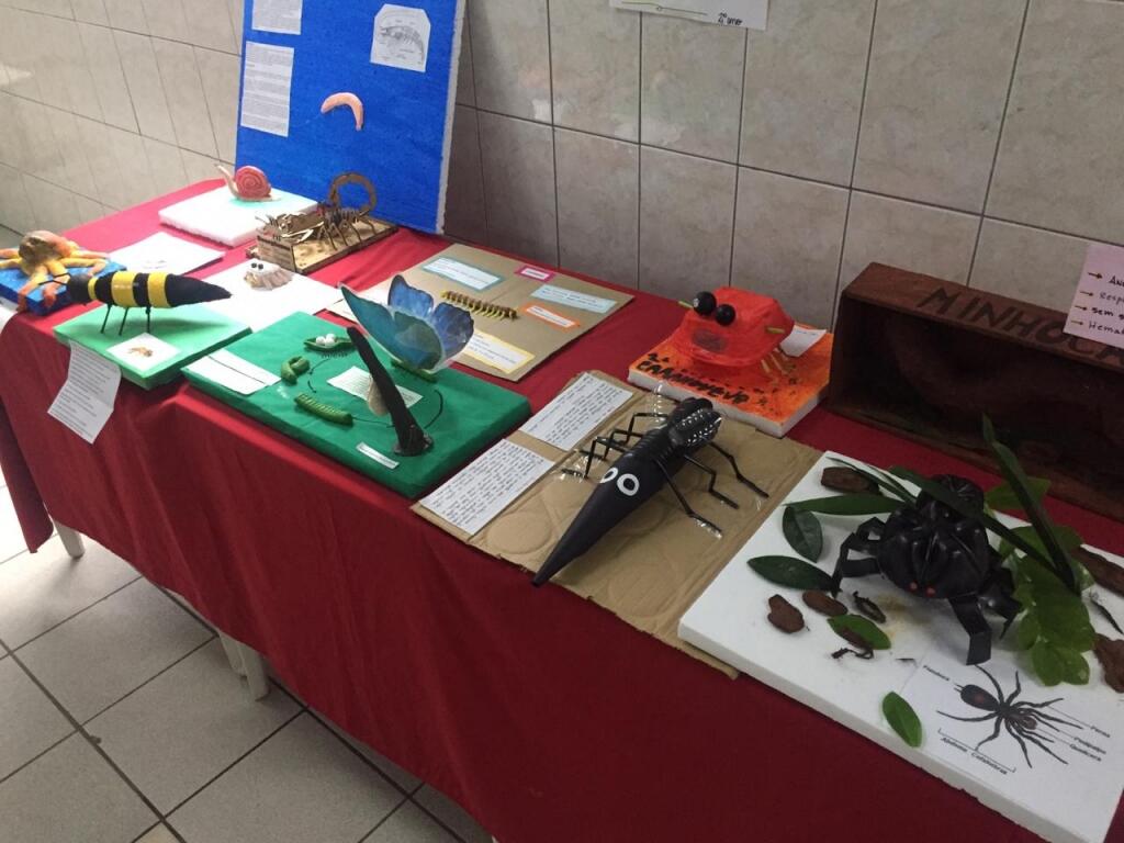 Mostra de anelídeos, artrópodes e moluscos