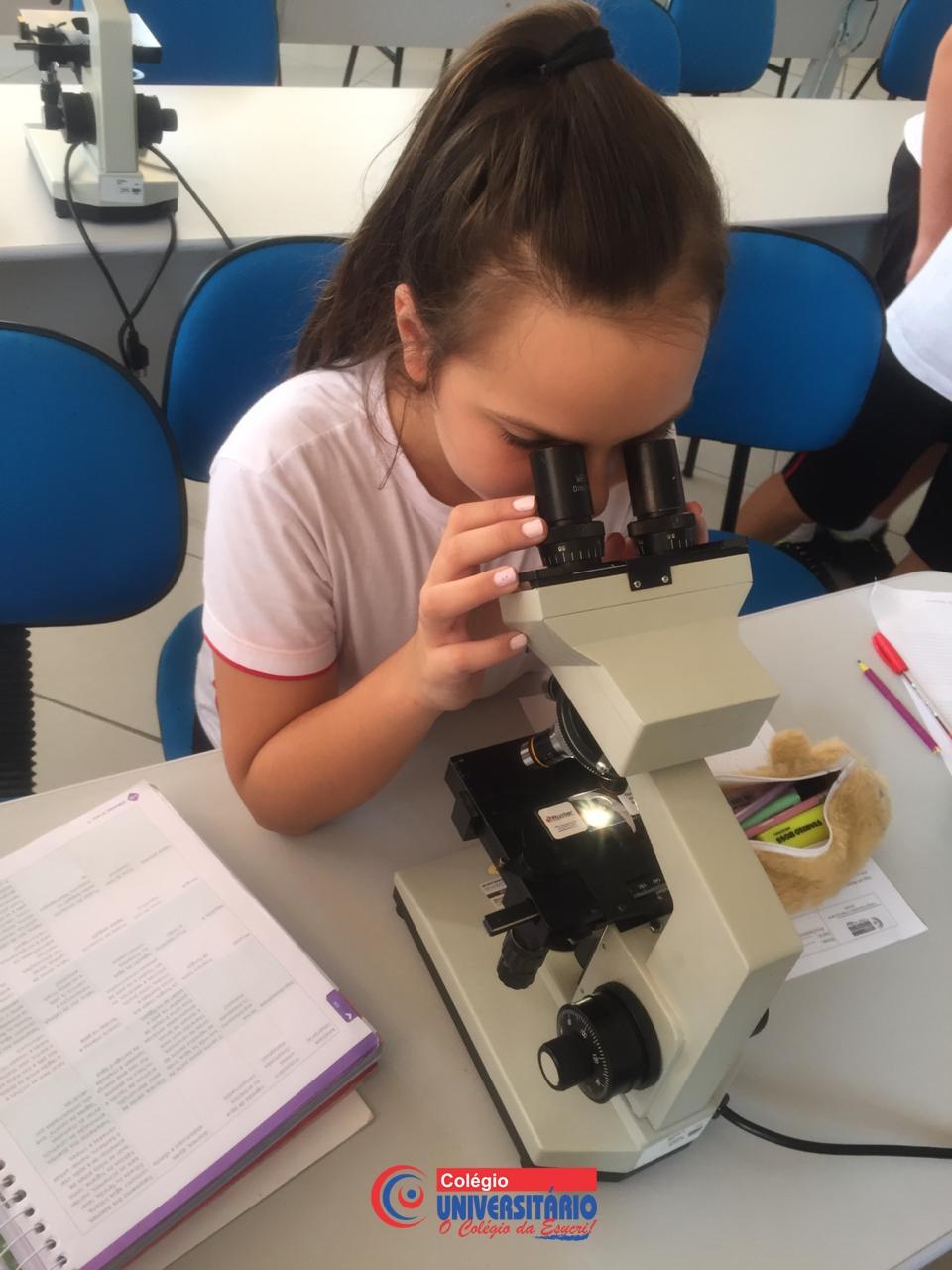 Quais doenças são transmitidas pela água?