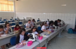 Quais doenças são transmitidas pela água?