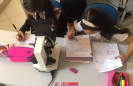 Quais doenças são transmitidas pela água?