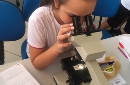 Quais doenças são transmitidas pela água?