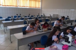 Quais doenças são transmitidas pela água?