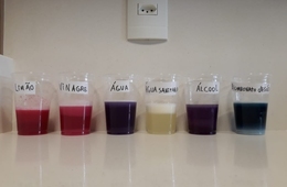 Experimento realizado pelos alunos do 9º Ano nas aulas de Química