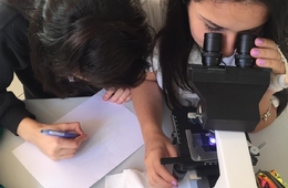 Microscopia e Teoria Celular