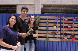Jardim vertical enfeita ainda mais nosso colégio