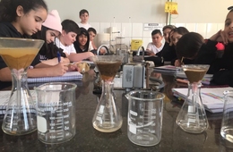 Alunos do ensino fundamental participam de práticas nas aulas de Ciências