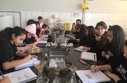 Alunos do ensino fundamental participam de práticas nas aulas de Ciências