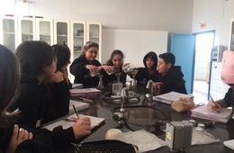 Alunos do ensino fundamental participam de práticas nas aulas de Ciências