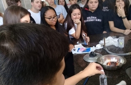 Experimentos da termoquímica