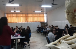 Compreendendo a função dos ossos