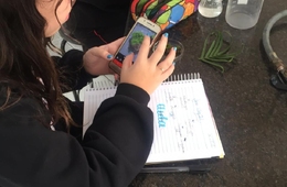 Compreendendo as plantas