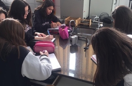 Compreendendo as plantas