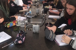 Compreendendo as plantas