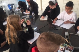 Compreendendo as plantas